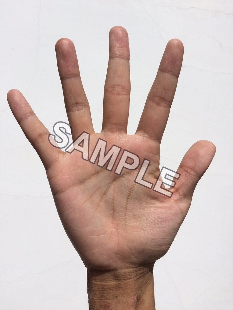 Sample open-palm photo with SAMPLE watermark